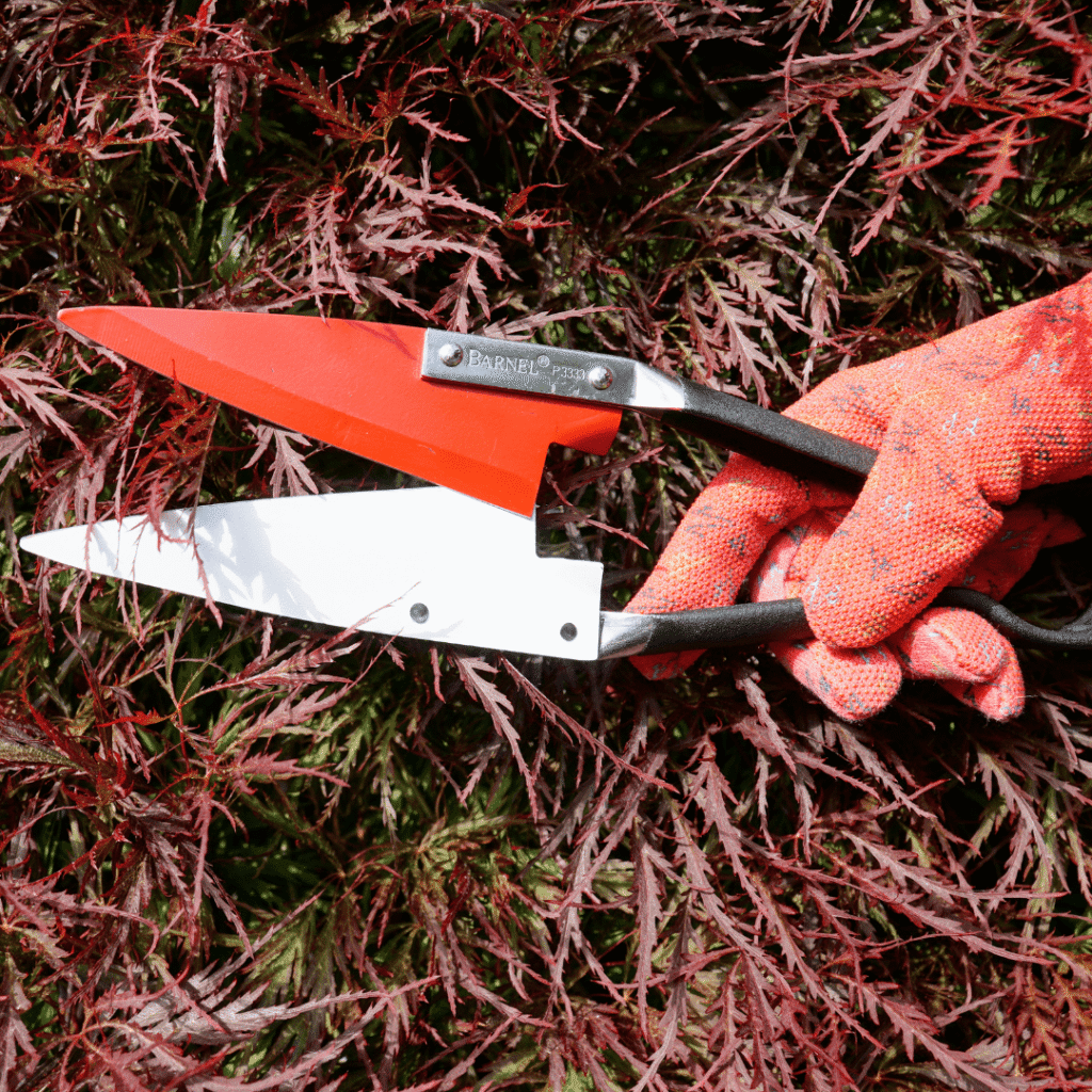 Cizalla de jardinería P3333