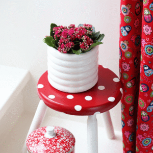 Kalanchoe Zomer Rood