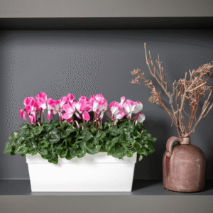 Super Serie Fusion 3 HR XL