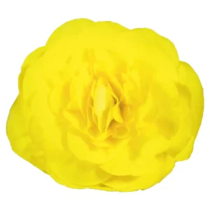Begonia Nonstop Yellow